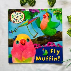 Fly Muffin!