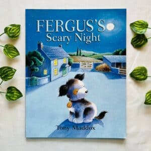 Fergus's Scary Night: Picture Story Book
