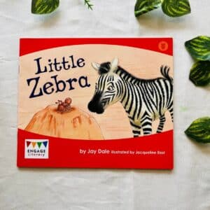 Little Zebra