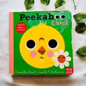 Peekaboo Chick: Board Book