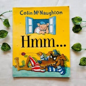 Hmm... Picture Story Book