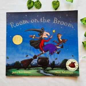 Room On The Broom: Picture Story Book