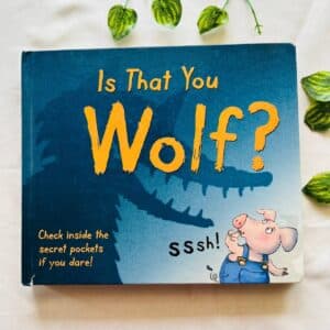 Is That You Wolf? Pop Up Book