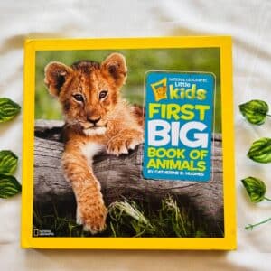 National Geographic: Little First Big Book Of Animals