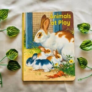 Animal At Play: Board Book