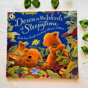 Down In The Wood At Sleepytime: Picture Story Book