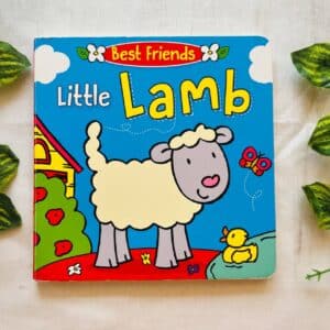 Little Lamb: Board Book