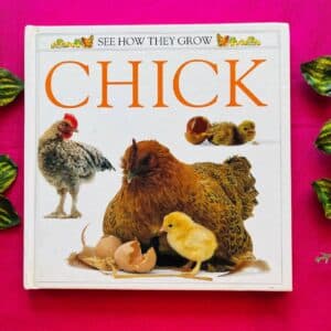 Chick