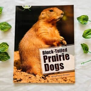 Black-Tailed Prairie Dogs