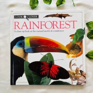 Rainforest