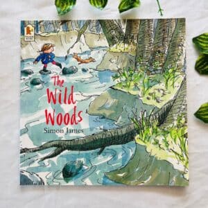 The Wild Woods: Picture Story Book