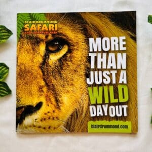 More Than Just Wild Day Out