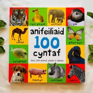 Anifeiliaid 100 Cyntaf First 100 Animal Words In Welsh: Board Book (Foreign Language)