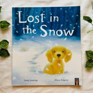 Lost In The Snow: Picture Story Book