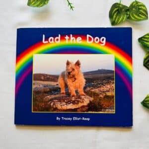 Lad The Dog