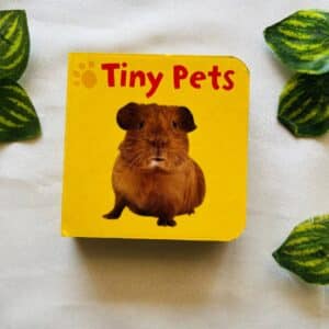 Tiny Pets: Board Book