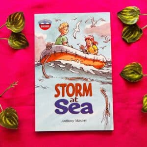 Storm At Sea