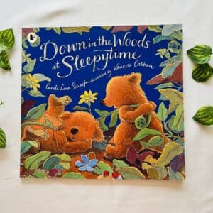 Down In The Woods At Sleepytime: Picture Story Book