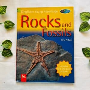 Rocks And Fossils