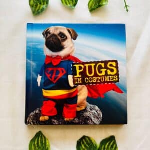 Pugs In Costumes