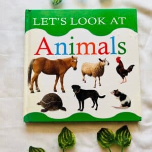 Let's Look At Animals