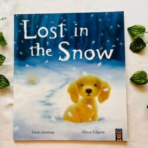 Lost In the Snow: Picture Story Book