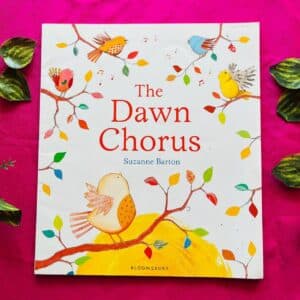 The Dawn Chorus: Picture Story Book