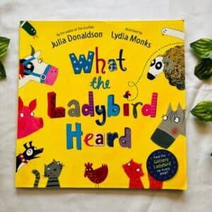 What the Ladybird Heard By Julia Donaldson: Picture Story Book