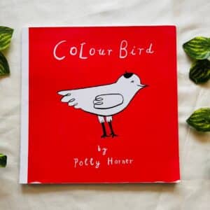 Colour Bird