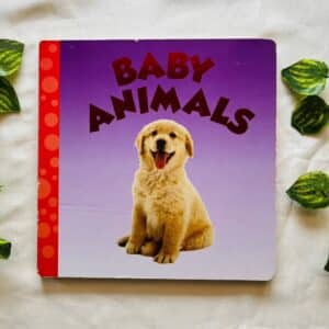 Baby Animals: Board Book