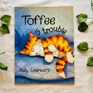 Toffee in Trouble: Picture Story Book