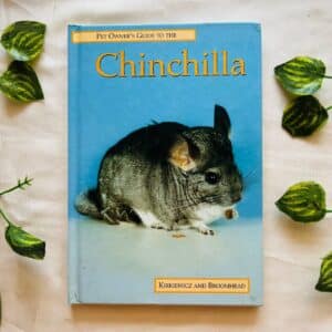 Chinchilla