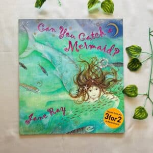Can You Catch a Mermaid? Picture Story Book