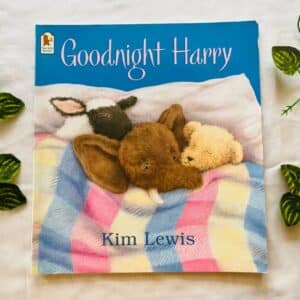 Goodnight Harry: Picture Story Book
