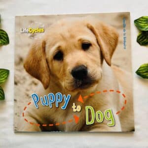 Puppy To Dog