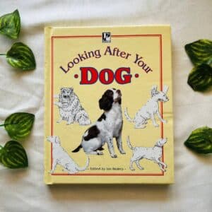 Looking After Your Dog