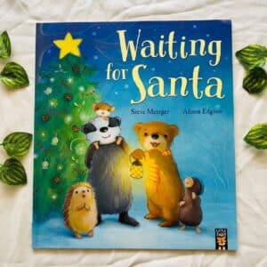 Waiting For Santa: Picture Story Book