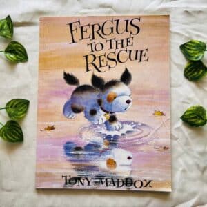Fergus To The Rescue: Picture Story Book