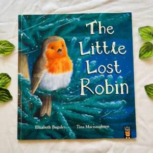 The Little Lost Robin: Picture Story Book