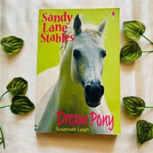 Usborne: Sandy Lane Stables