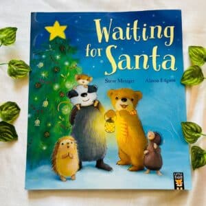 Waiting for Santa: Picture Story Book