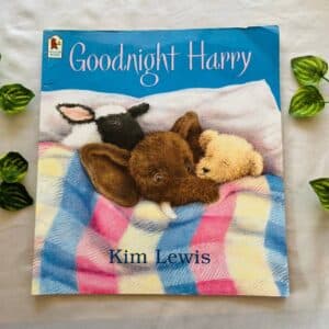 Goodnight Harry: Picture Story Book