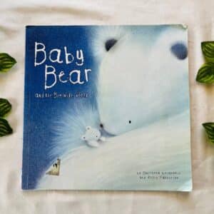 Baby Bear and the Big Wide World: Picture Story Book