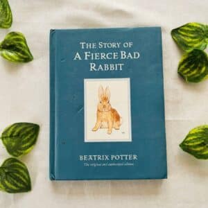 The Story of A Fierce Bad Rabbit