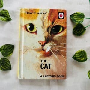 How It Works: The Cat