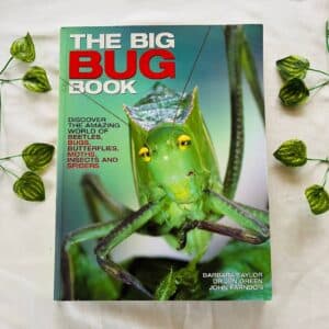 The Big Bug Book