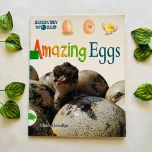 Amazing Eggs