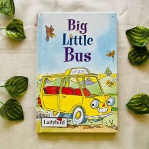 Big Little Bus