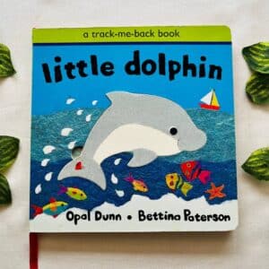 Little Dolphin: Board Book
