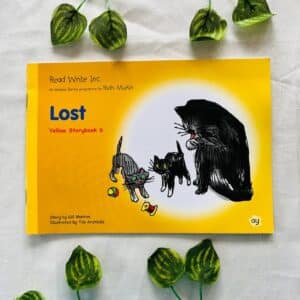 Lost Yellow Storybook 6